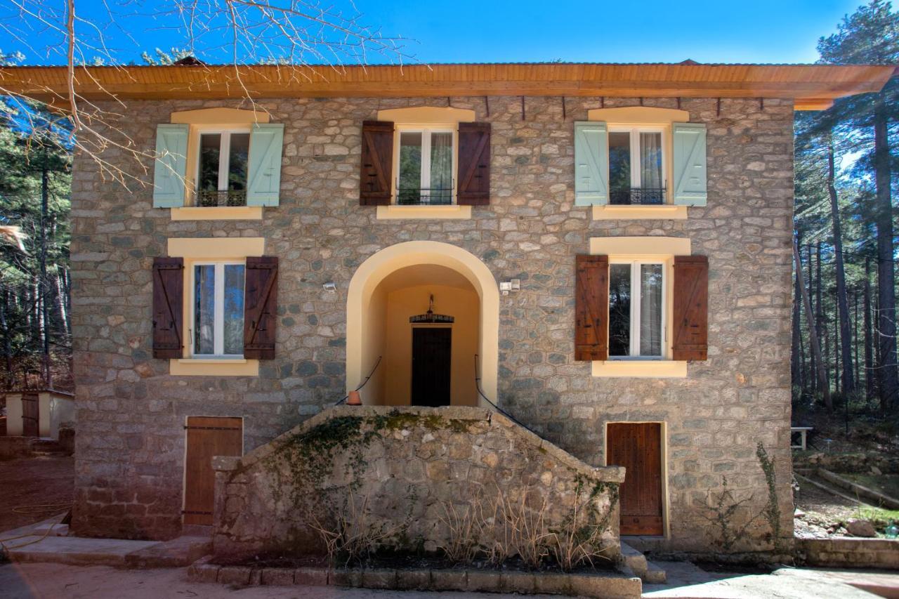 Casa Alta Bed and Breakfast Vizzavona Eksteriør billede